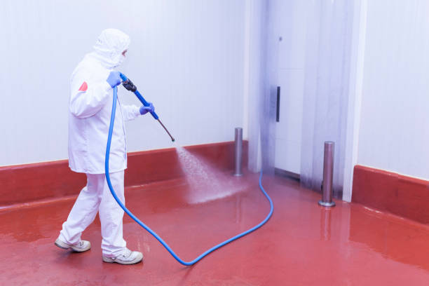 Professional  Pressure Washing Services in Green Valley, MD
